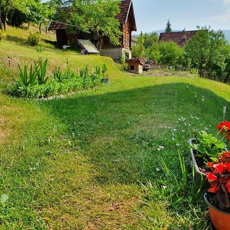 Bed and Breakfast Apartman Draga Mokra Gora Exteriér fotografie