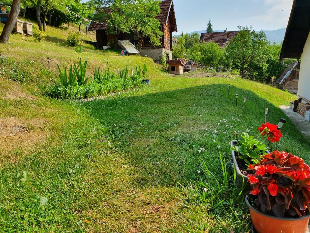 Bed and Breakfast Apartman Draga Mokra Gora Exteriér fotografie
