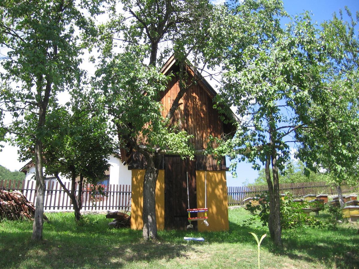 Bed and Breakfast Apartman Draga Mokra Gora Exteriér fotografie